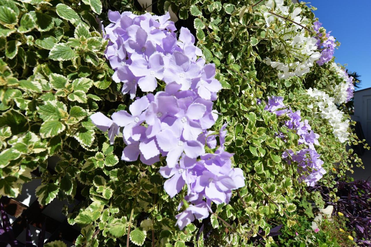 Apartment Lavender Vir Eksteriør bilde
